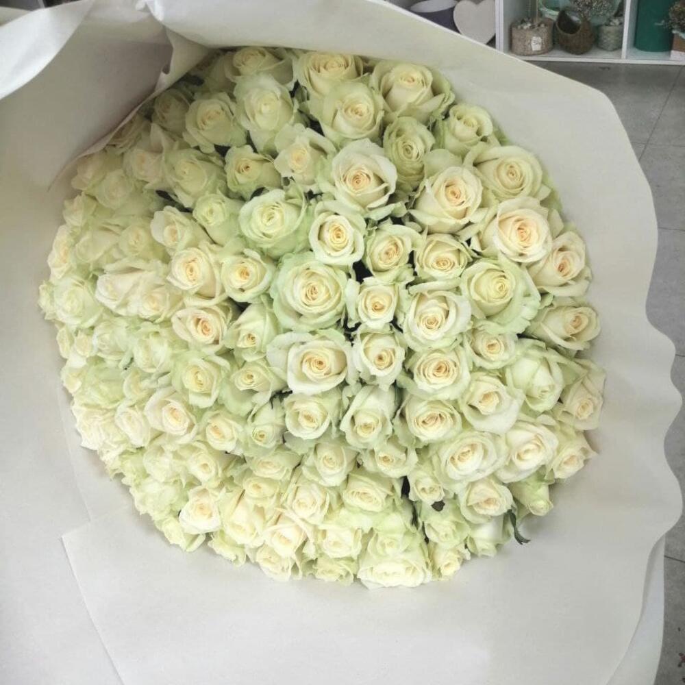 101 белая роза (точно свежая)