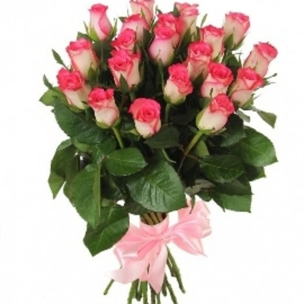 Роза джумиля