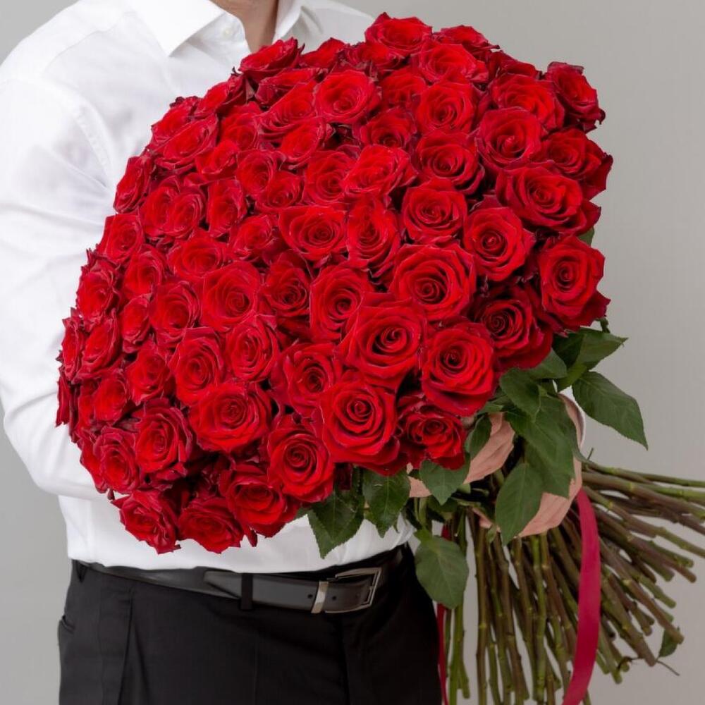 51 роза сорта Эксплоер